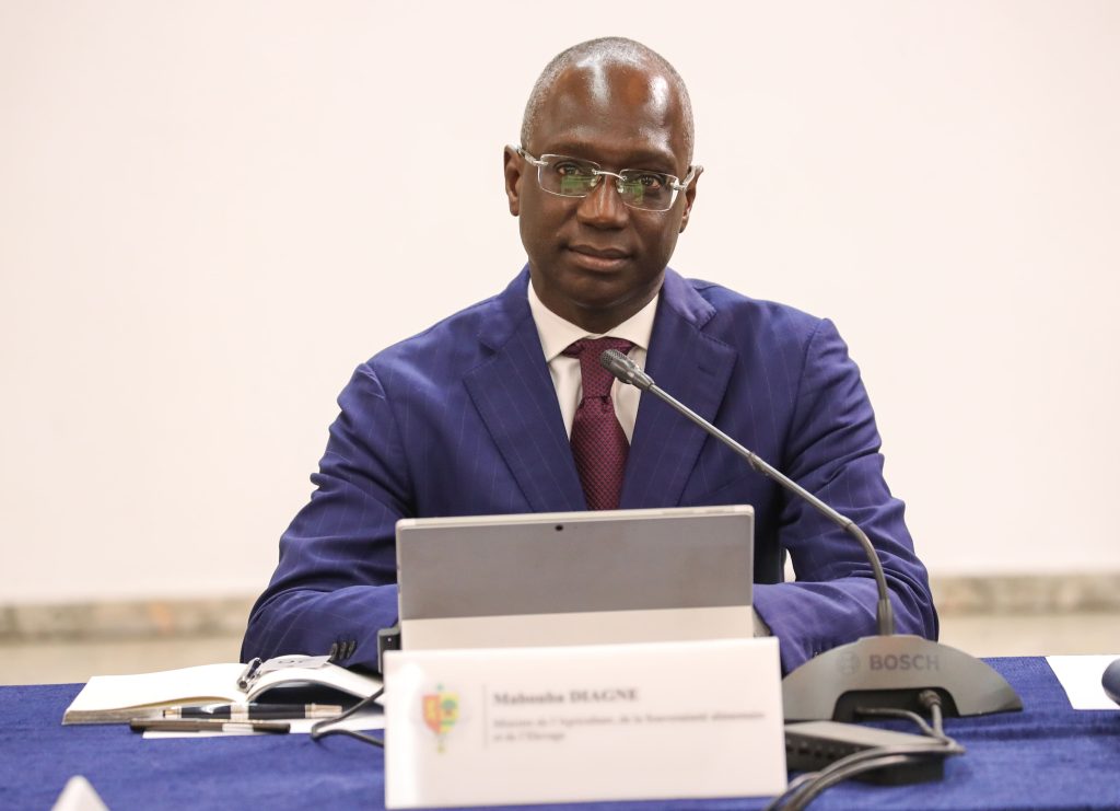 MABOUBA-DIAGNE-3-1024x741.jpg